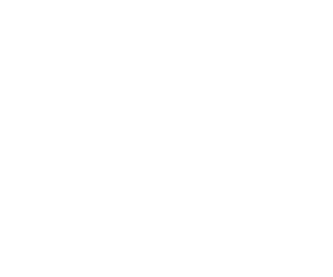 Edy's portfolio